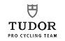 tudor
